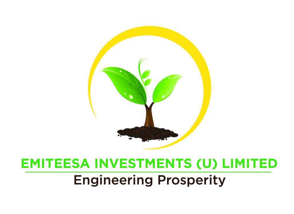 Emiteesa Investments Uganda Limited Supporting Fruit Farmers in Uganda of Mangoes and Citrus Fruits through Nursery Bed Seedlings. Improved Fruit Seedlings-Citrus Fruit Seedlings, Oranges, Lemons, Mango Seedlings, Passion Fruits Seedlings, Ugabox