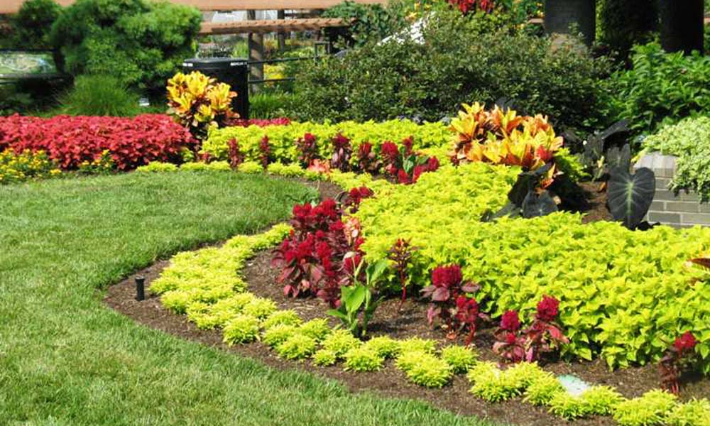 All Things Beautiful, Gardeners, Gardens, Kampala Uganda Gardening and Landscaping, Home Decor, Interior & Exterior Design, Herbs, Flowers, Flower Pots Kampala Uganda, Ugabox