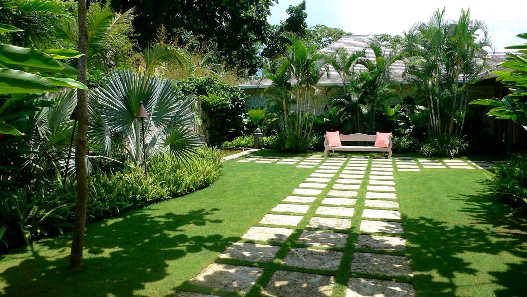 Iconic Hedges, Gardeners, Gardens, Kampala Uganda Gardening and Landscaping, Home Decor, Interior & Exterior Design, Herbs, Flowers, Flower Pots Kampala Uganda, Ugabox