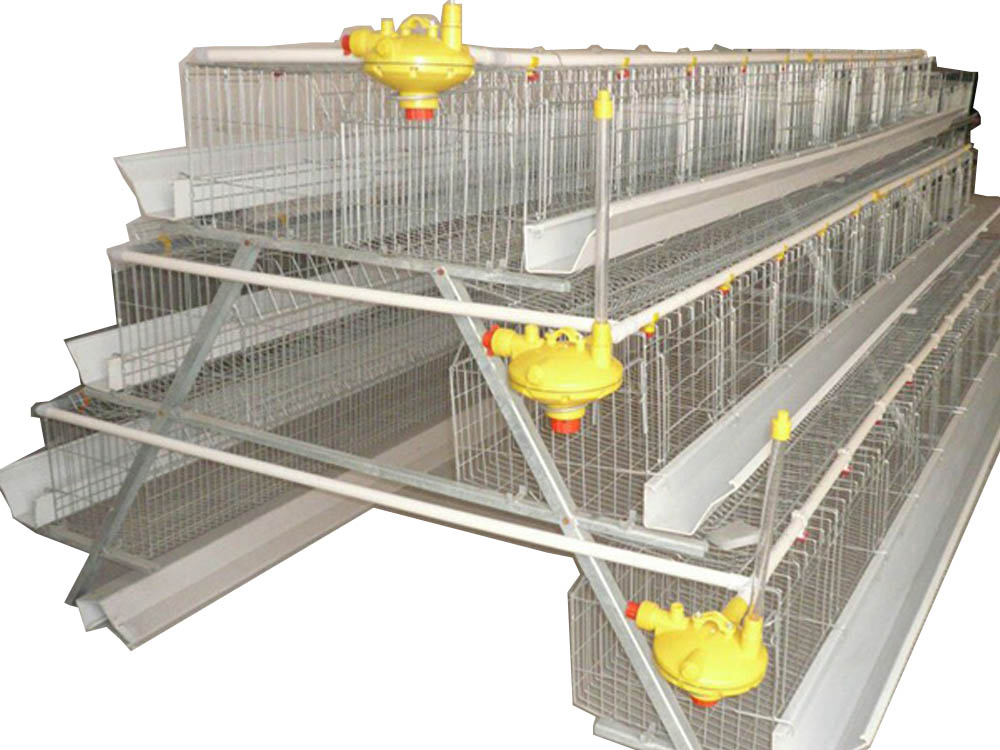 Poultry Cage (Chicken Cage) Machine Uganda. BQ Machinery Uganda Ltd for all your Agricultural Machines/Construction Machinery and Equipment Supplies in Kampala Uganda, East Africa: Kigali-Rwanda, Nairobi-Mombasa-Kenya, Juba-South Sudan, DRC Congo, Tanzania, Ugabox