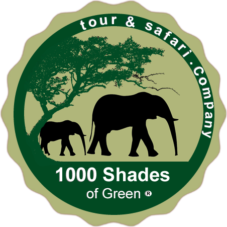 1000 Shades of Green Tour and Safaris Uganda, Rwanda
