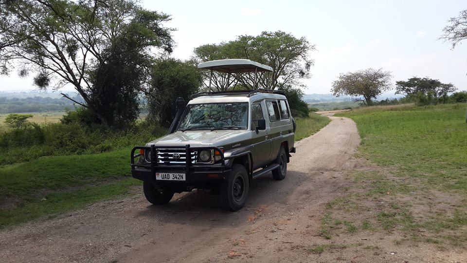 Acacia safaris, Tours & Travel Uganda, Gorilla Tracking, Chimpanzee Tracking, Mountaineering, White Water Rafting, Wildlife Viewing, Birding, Honeymoon, Cultural & Nature Tours, Primate Safaris, East Africa