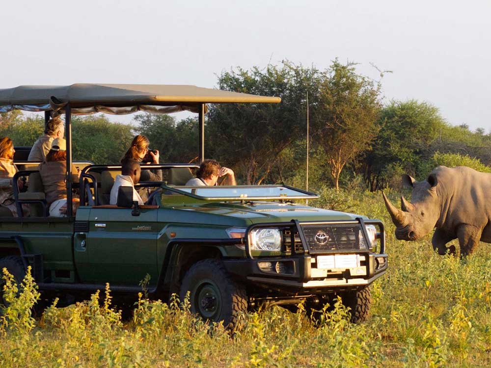 Game drive in Africa. African Safari Activities. Visit: Tourismug.com | Tourism Africa. Tourism Uganda. Ugabox