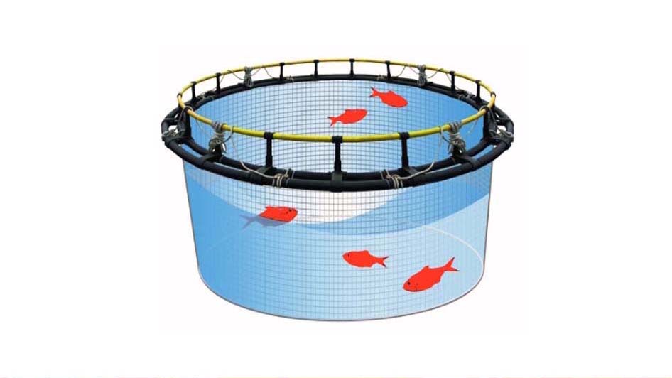 Fish Cages Uganda, Companies, Kampala Uganda, Business and Shopping Online Portal