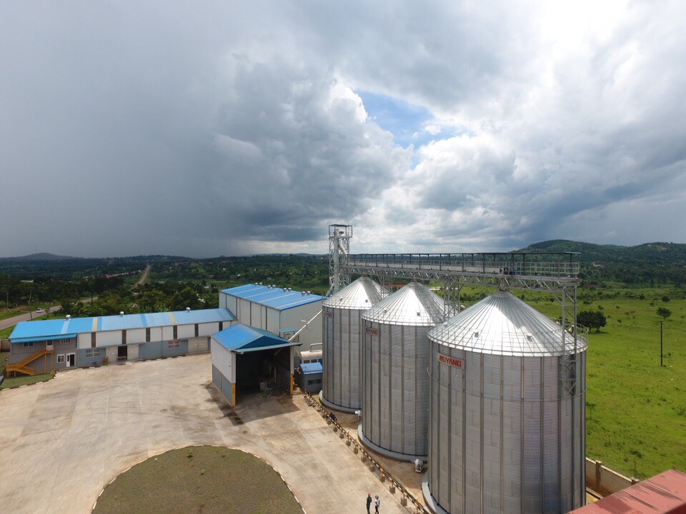 140T/Day Wheat Processing Plant in Uganda. Client: Wheatco Industries Limited Uganda. Supply, Installation, Testing and Commissioning of Mill/Food Processing Plant/Machinery in Uganda, East Africa. China Huangpai Food Machines Uganda, Ugabox