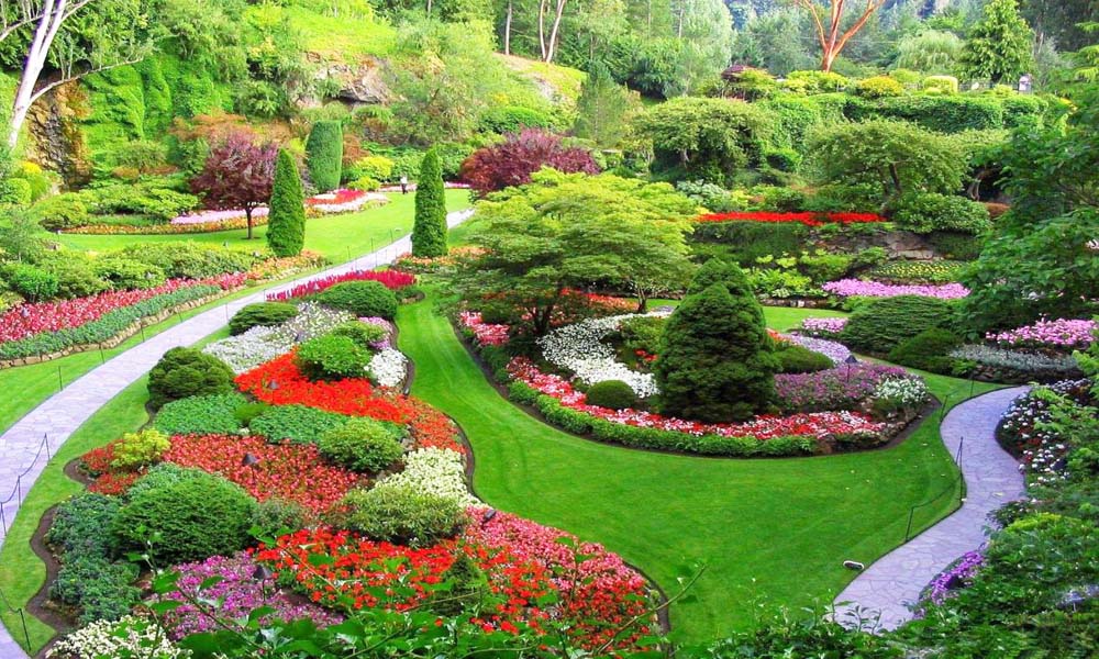 Gardening & Landscaping Kampala Uganda, Lawn Business and Gardening Companies Kampala Uganda