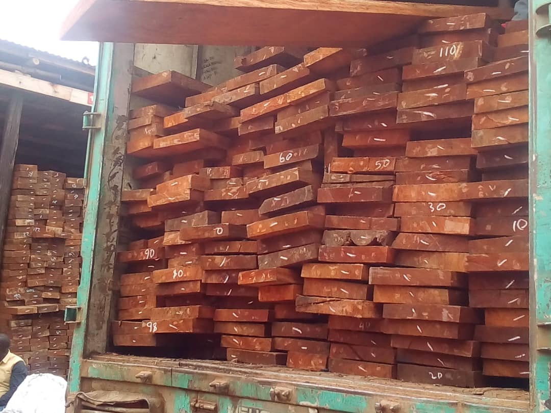 Timber Supply in Uganda. Mahogany and Pine Timber Store in Kampala Uganda, JENEJO TRADERS Uganda, Ugabox