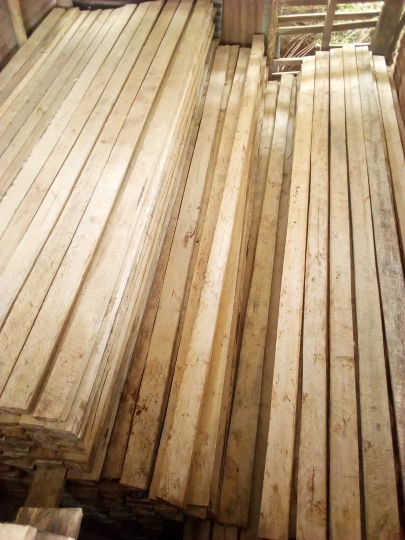 Pine Timber in Uganda, Timber Supply, Wood for Carpentry & Construction in Uganda. Construction & Building Materials Supply in Kampala Uganda, Ugabox