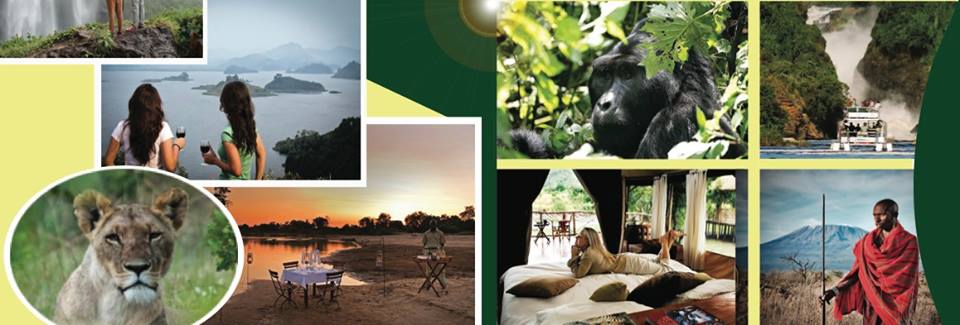 1000 Shades of Green Tour and Safaris Uganda, Gorilla Tracking, Chimpanzee Tracking, Mountaineering, White Water Rafting, Wildlife Viewing, Birding, Honeymoon, Culture & Nature Tours, Primate Safaris, Kigali Rwanda & Kampala Uganda