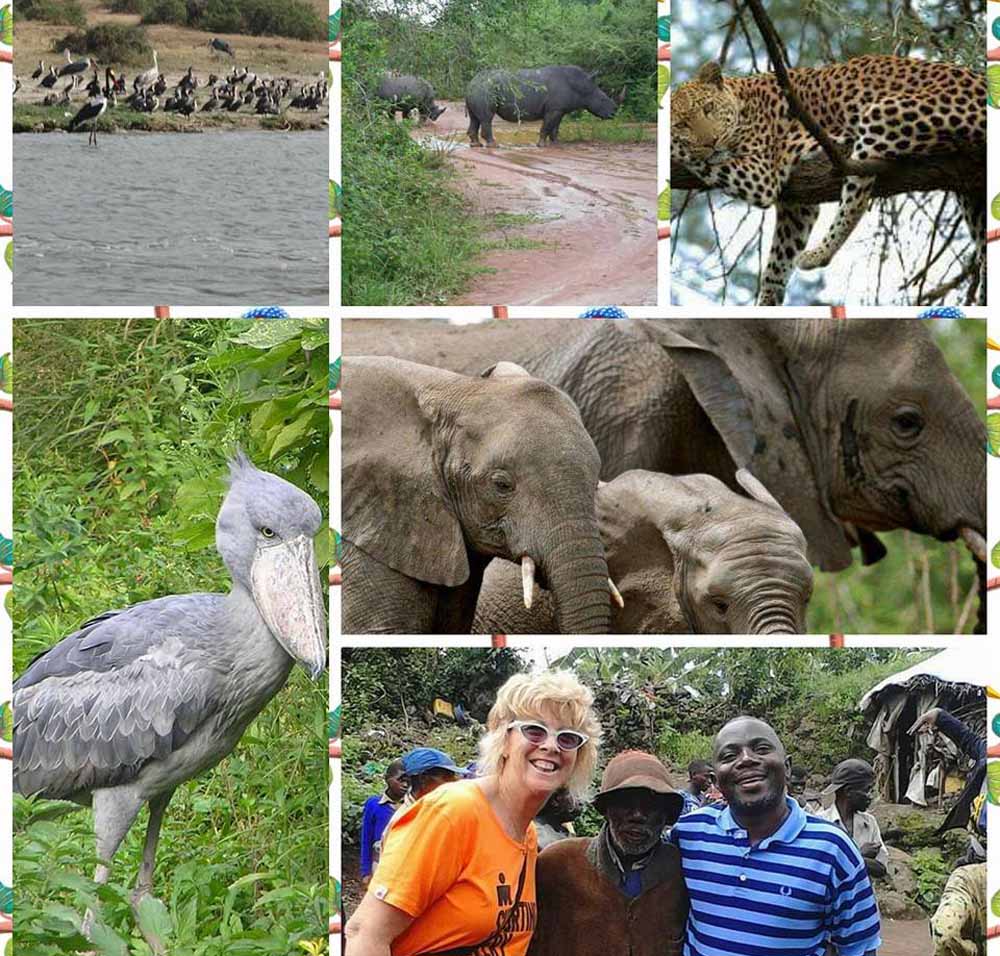Safaris to Uganda, Safaris to Rwanda, Safaris to Kenya , Safaris to Tanzania, Adventure Trips, Gorilla safaris, Cultural Tours Africa, Flight reservations, Travel Service provider, Cars for Hire Uganda