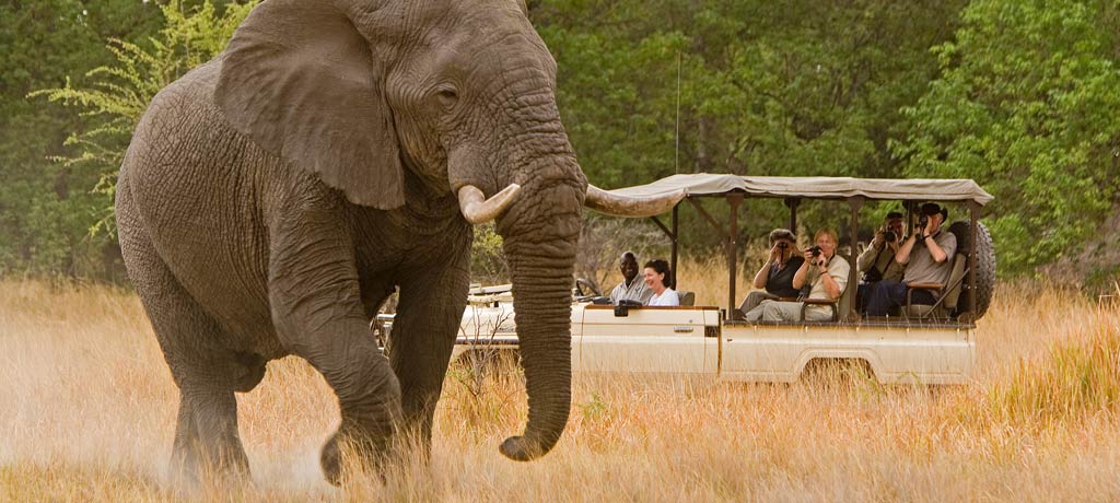 Tours and Travel Uganda, African Safaris, Tour Operators and Companies in Kampala Uganda