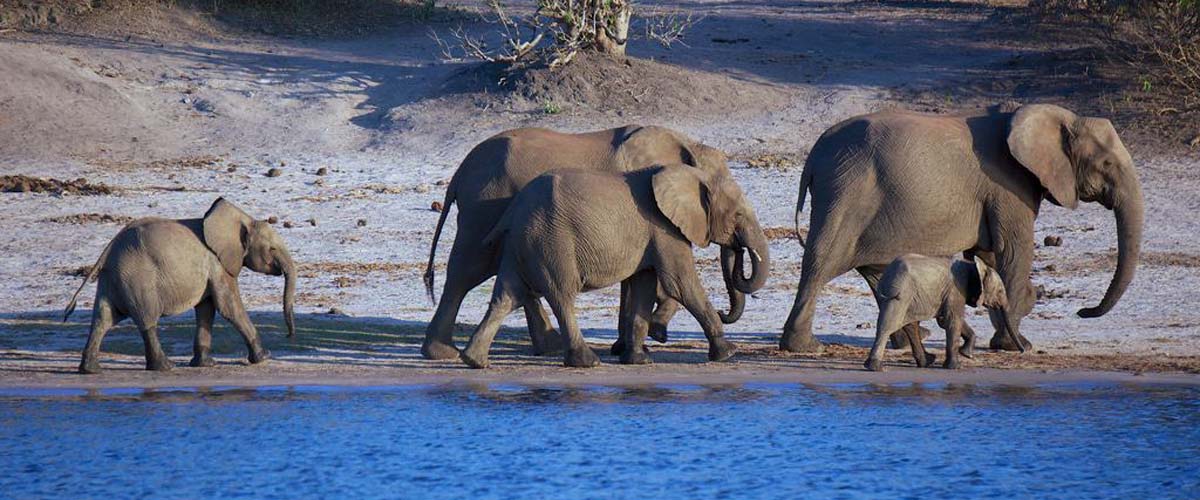 Visit Botswana. Explore Botswana: stunning natural wonders, landscapes, landmarks and experience unique cultures, food, places and adventures. Plan your next trip with us. Travel, tour guides and business and holiday destinations. Ugabox.com